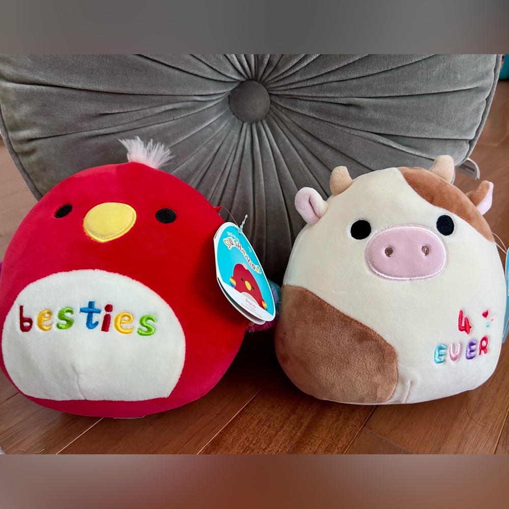 Paco Bird and Ronnie Cow Squishmallows NWT